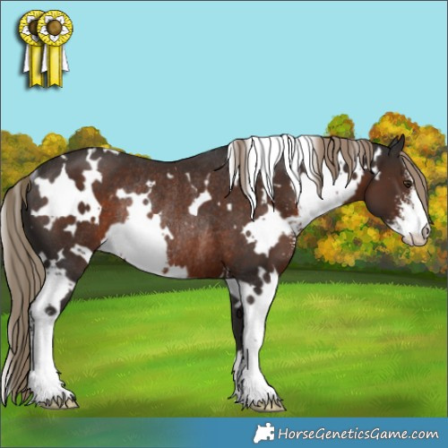 Horse Color:White Spotted Liver Chestnut Sabino Rabicano 