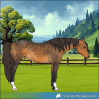 Horse Color:Buckskin 