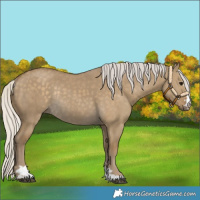 Horse Color:Silver Smoky Grullo Rabicano