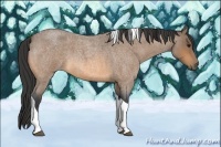 Horse Color:Buckskin Roan Tobiano 