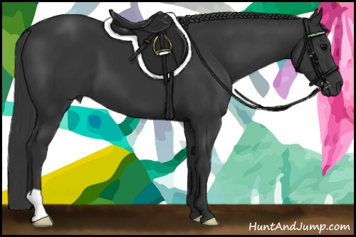 Horse Color:Black 