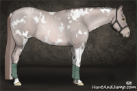 Horse Color:Platinum White Spotted Liver Red Roan Pearl Rabicano 
