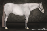 Horse Color:Platinum Liver Red Roan Pearl Rabicano 