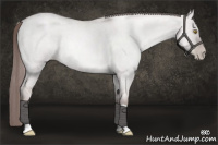Horse Color:Platinum Liver Red Dun Roan Pearl Rabicano 
