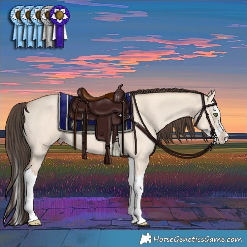 Horse Color:Amber Champagne Dun Splash 