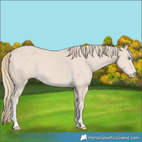 Horse Color:Smoky Creme 
