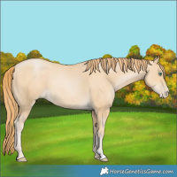 Horse Color:Smoky Black Pearl 