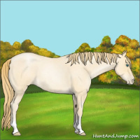 Horse Color:Smoky Blue Roan Pearl 