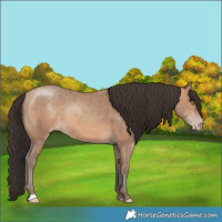 Horse Color:Sable Champagne 