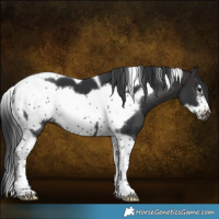 Horse Color:Brown Tobiano Frame 