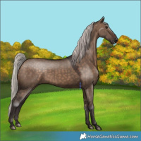 Horse Color:White Spotted Silver Brown Dun 