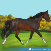 Horse Color:Brown 