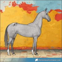 Horse Color:Grullo Varnish Brindle 