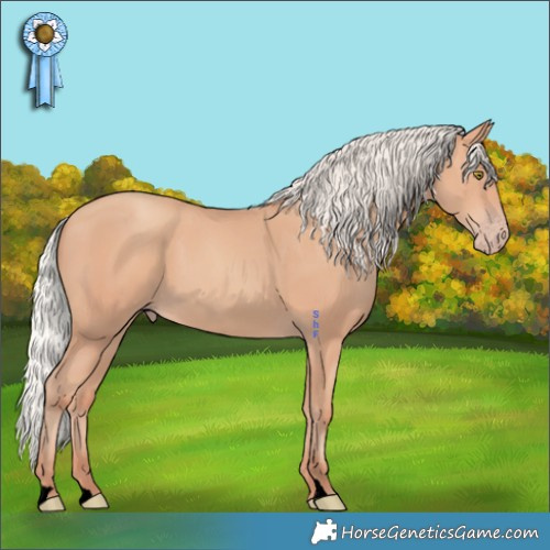 Horse Color:Void Silver Amber Champagne 