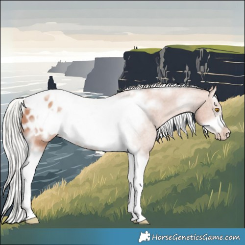 Horse Color:Silver Classic Champagne Sabino Splash Tobiano Frame Appaloosa Rabicano 