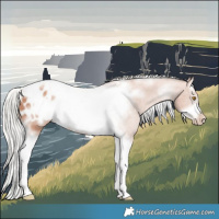 Horse Color:Silver Classic Champagne Sabino Splash Tobiano Frame Appaloosa Rabicano