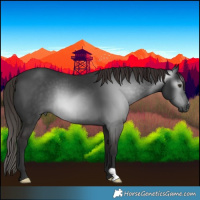 Horse Color:Gray Liver Chestnut