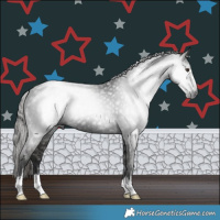 Horse Color:Gray Liver Chestnut 
