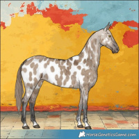 Horse Color:Liver Red Dun Appaloosa Brindle 