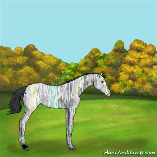 Horse Color:Void Black Ice 
