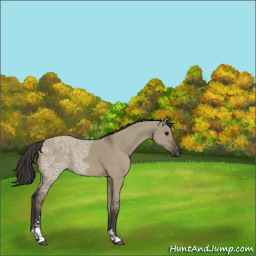 Horse Color:Smoky Grullo Ice Sabino 