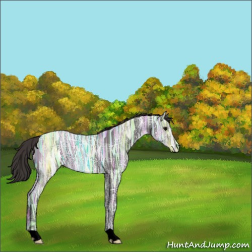 Horse Color:Void Smoky Black Ice 