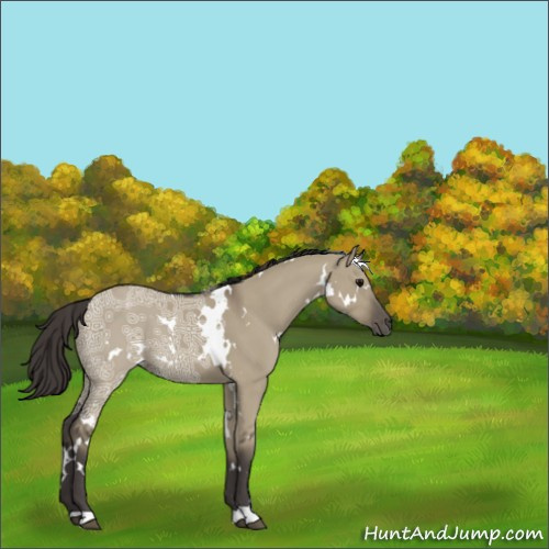 Horse Color:White Spotted Smoky Grullo Ice 