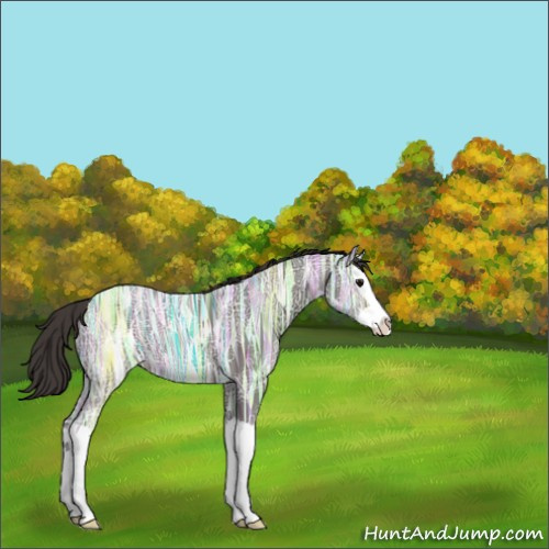 Horse Color:Smoky Black Ice Splash 
