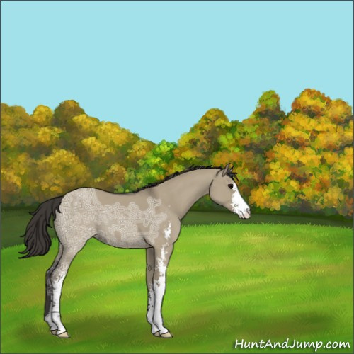 Horse Color:Smoky Grullo Ice Sabino 