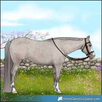 Horse Color:Liver Red Dun Varnish Brindle 