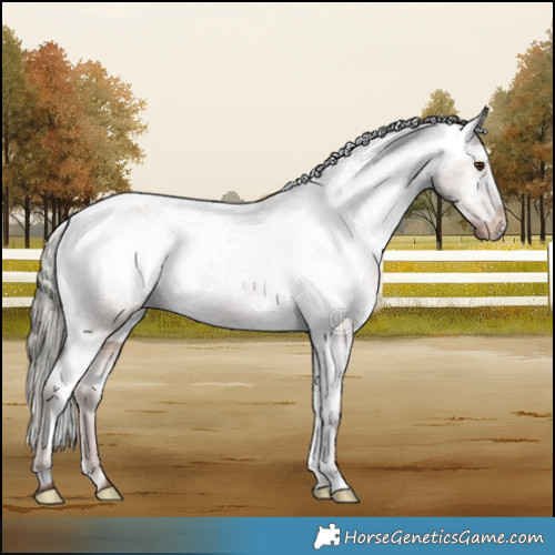 Horse Color:Liver Red Dun Mushroom Appaloosa Brindle 