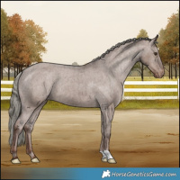 Horse Color:Liver Red Dun Mushroom Appaloosa Brindle
