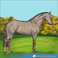 Horse Color:Liver Red Dun Mushroom Brindle 
