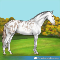 Horse Color:Brown Roan Dun Blanket Rabicano 