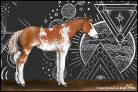 Horse Color:Silver Brown Sabino Rabicano 