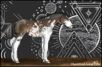 Horse Color:Liver Chestnut Sabino Rabicano 