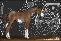 Horse Color:Liver Chestnut Sabino Rabicano 