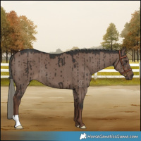 Horse Color:Liver Red Dun Mushroom Brindle 