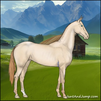 Horse Color:Smoky Black Pearl 