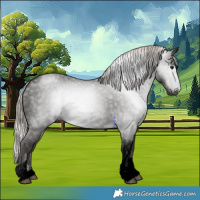 Horse Color:Gray Silver Black Sabino Tobiano 