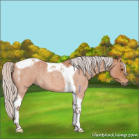 Horse Color:Silver Brown Roan Tobiano 