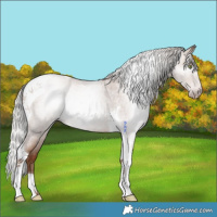 Horse Color:Gray Silver Sable Champagne Roan Tobiano 