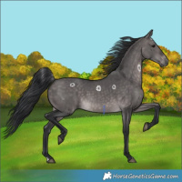 Horse Color:Platinum Brown Dun 