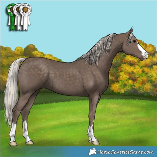 Horse Color:Silver Black 