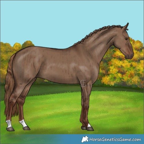 Horse Color:Liver Red Dun Brindle 