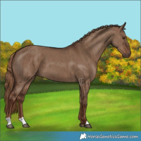 Horse Color:Liver Red Dun Brindle 