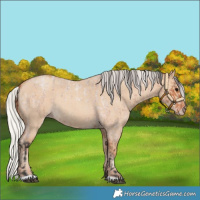Horse Color:Bay Roan Rabicano  and Silver Classic Champagne Dun Rabicano 