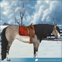 Horse Color:Brown Dun Varnish 