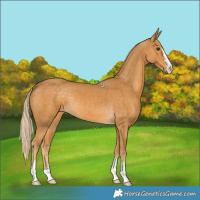 Horse Color:Palomino