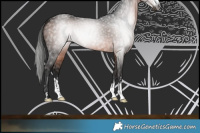 Horse Color:Gray Bay 